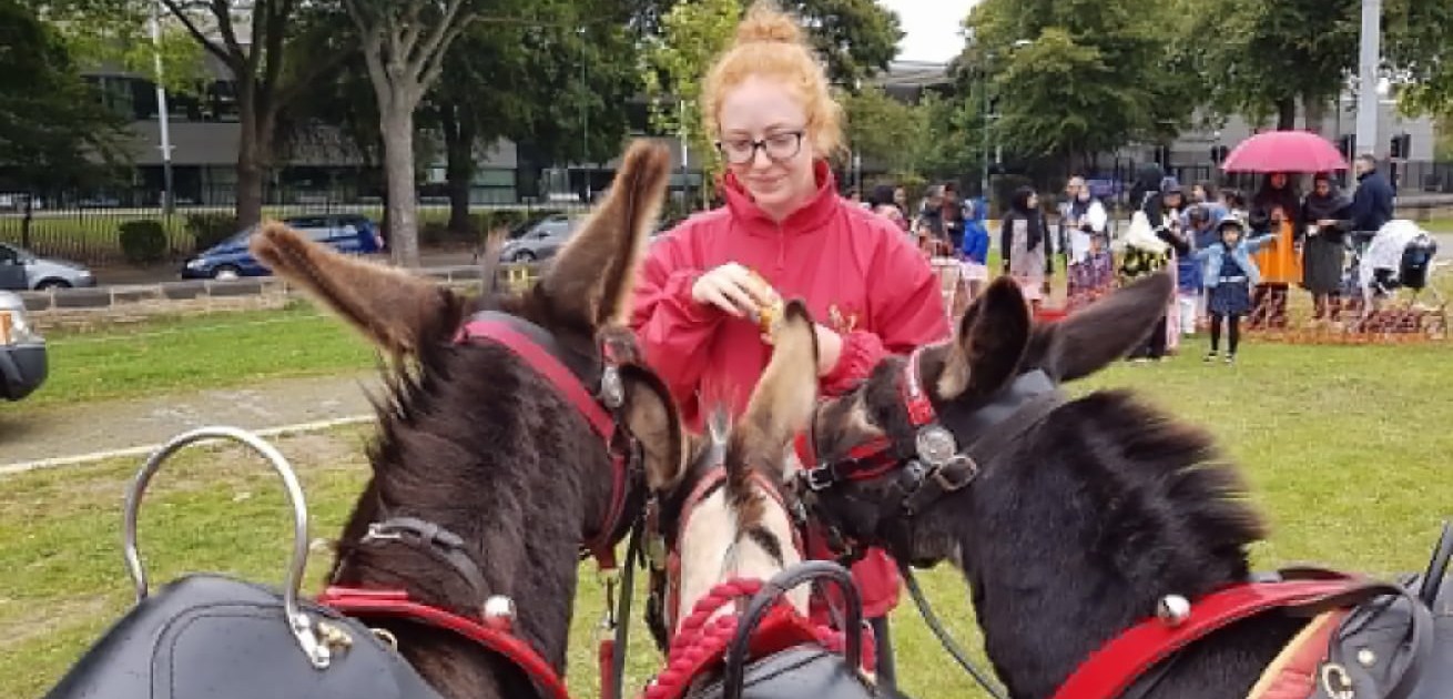 Donkey Hire
